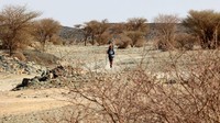 Alsulmi harus berjalan kaki sejauh 1.600 kilometer dari Jeddah, Arab Saudi ke Doha, Qatar. Jarak tersebut serupa lebih dari dua kali jarak Jakarta ke Surabaya yang sekitar 700 kilometer. Jadi Alsulmi serupa berjalan kaki pulang pergi Jakarta-Surabaya.