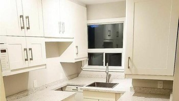 Desain dapur yang tampak mewah tapi sebenarnya aneh. Foto: Bored Panda