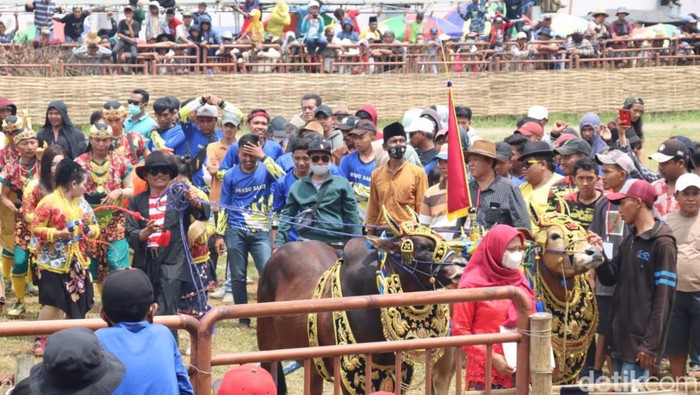 Juara Karapan Sapi Piala Presiden 2022