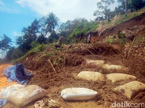 3 Ton Jagung Hasil Panen Warga di Polman Tertimbun Longsor