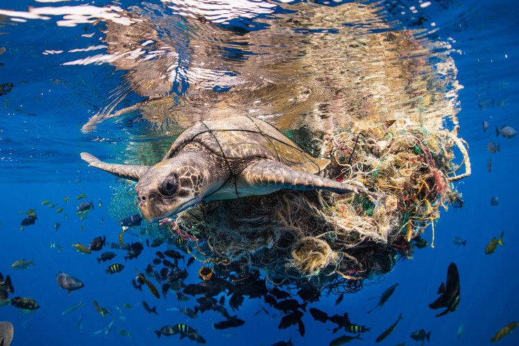10 Jawara The Ocean Photographer of the Year 2022, Keren-keren Banget