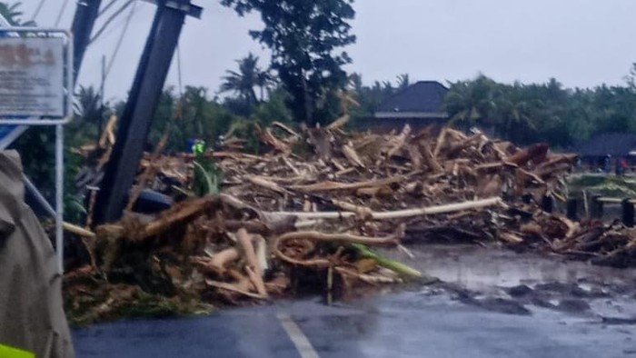 Tumpukan kayu dari Hutan Bali Barat, Jembrana terbawa banjir, Senin (17/10/2022).