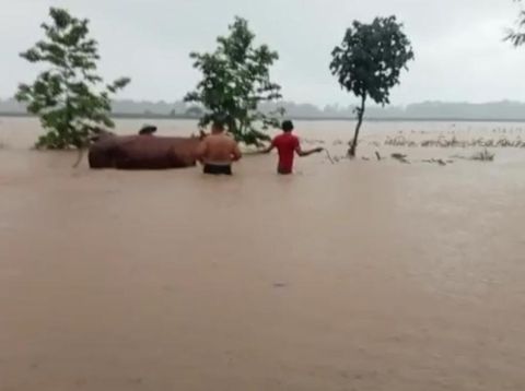 Banjir di Blitar Selatan yang paling parah selama 5 tahun terakhir
