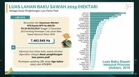 Kabar Baik! Luas Panen Gabah RI Bisa Naik Jadi 10,61 Juta Ha