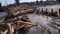Jalur Denpasar-Gilimanuk di Kabupaten Jembrana ditutup sementara akibat banjir bandang yang membawa material seperti batang pohon hingga lumpur menutup akses jalan, Senin (17/10/2022). (Foto: Tangkapan layar)
