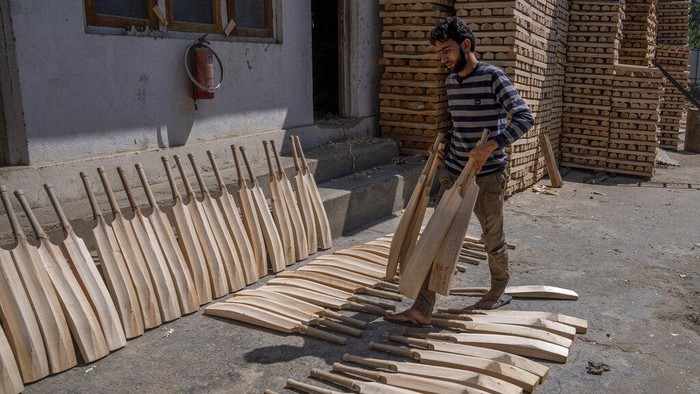 Kashmir Cricket Bats Photo Gallery A Kashmiri man carries a willow log after cutting down willow trees over a government wetland at Haretaar north of Srinagar, Indian controlled Kashmir, Sept. 27, 2022. Kashmir’s dwindling willow plantations are impacting the region’s famed cricket bat industry and risking the supply of cricket bats in India, where the sport is hugely followed. The industry employs more than 10,000 people and manufactures nearly a million bats a year. (AP Photo/Dar Yasin)