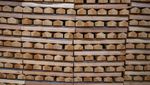 Tahu Kan Kriket? Nah, Ini Proses Tongkat Pemukulnya Dibikin