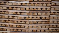 Tumpukkan kayu willow terlihat di pabrik untuk bahan baku bet kriket yang siap diproduksi.