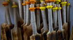 Tahu Kan Kriket? Nah, Ini Proses Tongkat Pemukulnya Dibikin