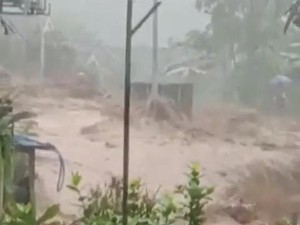 Kengerian Saat Longsor Menerjang Kampung Teh di Malang