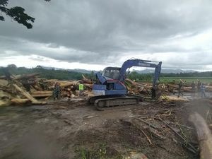 Walhi Sebut Banjir karena Alih Fungsi Lahan, Wagub Bali Bilang Begini