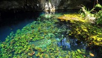 Kali ini ada gua bawah laut bernama Sistema Sac Actun yang berarti sistem gua putih. Gua ini terletak di Meksiko dengan panjang mencapai 364,4 km. Dok. wikipedia.org