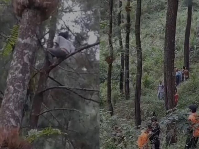 Beredar viral seorang pria yang memanjat dan tinggal di atas pohon pinus setinggi 20 meter.