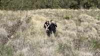 Namun perjalanan panjang yang ditempuh bakal terbayar lunas sesaat melihat keindahan alam gunung ini. Udara segaranya pun bisa jadi kesempatan bagi hidung untuk istirahat sejenak dari polusi jahat bahan bakar.