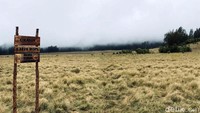 Perjalanan menuju ketiga puncak gunung hanya memerlukan waktu setengah jam setiap puncaknya, bila dimulai dari pertigaan puncak, alias Sabana Lonceng.