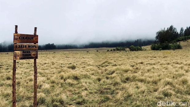 Eksotisme Argopuro Jatim, Gunung Terpanjang di Pulau Jawa Potret keindahan Gunung Argopuro, gunung terpanjang di Pulau jawa dengan ketinggian 3.088 Mdpl. Memiliki 3 puncak yang keren dan sabana yang memukau.