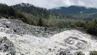 Gemuruh angin dan suara binatang-binatang bersorak-sorai membuat seluruh rasa lelah pendakian panjang terbayar lunas. Teduh, tenang, cantik, dan asri adalah 4 kata yang cocok dengan Gunung Argopuro.
