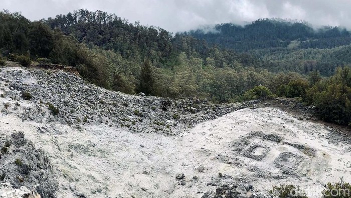 Eksotisme Argopuro Jatim, Gunung Terpanjang di Pulau Jawa Potret keindahan Gunung Argopuro, gunung terpanjang di Pulau jawa dengan ketinggian 3.088 Mdpl. Memiliki 3 puncak yang keren dan sabana yang memukau.