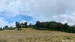 Eksotisme Argopuro Jatim, Gunung Terpanjang di Pulau Jawa