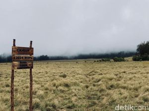 Murah Banget! Naik Gunung Argopuro dari Jakarta Ongkosnya Rp 600 Ribu-an