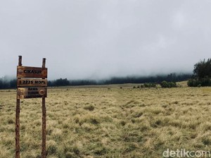 Murah Banget! Naik Gunung Argopuro dari Jakarta Ongkosnya Rp 600 Ribu-an
