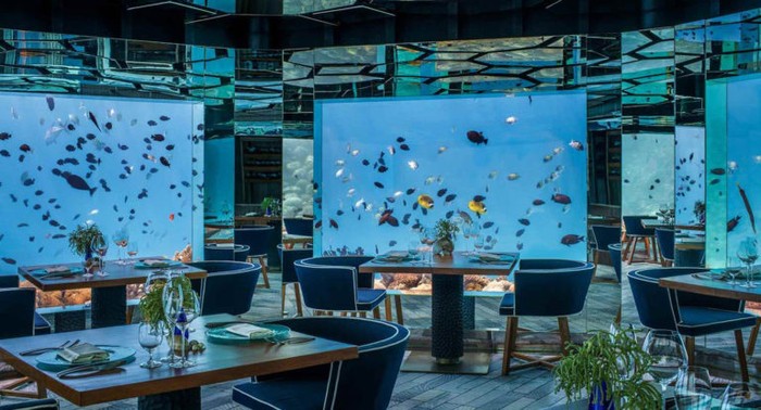 Kafe dan resto ekstrem Ngeri! 10 Kafe dan Restoran Ini Berada di Tempat Ekstrem