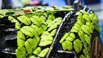 Mirip Banget, Lamborghini Ini Terbuat dari Kepingan Lego