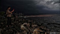 Pemandangannya juga unik. Karena di Marunda berdiri pabrik-pabrik, traveler akan melihat konstruksi hingga cerobong asap pabrik. Tak luput juga pemandangan kapal-kapal besar yang lalu lalang membawa batu bara.