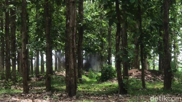 peledakan bom peninggalan perang dunia