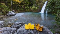 Wilayah Yunani telah memasuki musim gugur, pepohonan yang menguning mengepung air terjun yang makin dingin.  