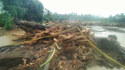 Material banjir bandang yang didominasi potongan-potongan pohon hutan berukuran besar di rumah warga, Lingkungan Biluk Poh Kangin, Kelurahan Tegal Cangkring, Jembrana Bali Rabu (19/10/2022).