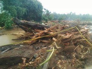 KPH Bali Barat Bantah Banjir Jembrana akibat Hutan Gundul