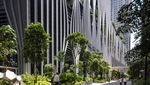 Adem! Singapura Punya Taman Langit Baru Berisikan 80 Ribu Pohon