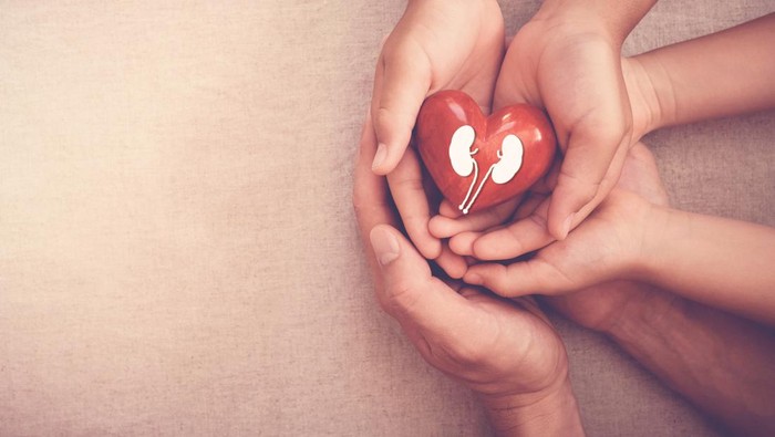 Yang Terjadi pada Tubuh Jika Kemasukan Etilen Glikol, Pasti Bikin Gagal Ginjal?