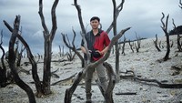 Pemandangan hutan mati memang eksotis.