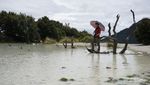 Hunting Foto di Hutan Mati Papandayan, Cantik dan Eksotis