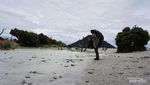 Hunting Foto di Hutan Mati Papandayan, Cantik dan Eksotis