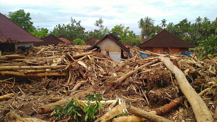 Kayu Hutan Terbawa Banjir Material banjir bandang yang didominasi potongan pohon hutan berukuran besar di rumah warga, Lingkungan Biluk Poh Kangin, Kelurahan Tegal Cangkring, Jembrana, Bali Rabu (19/10/2022).