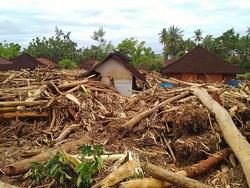 Material banjir bandang yang didominasi potongan pohon hutan berukuran besar di rumah warga, Lingkungan Biluk Poh Kangin, Kelurahan Tegal Cangkring, Jembrana, Bali Rabu (19/10/2022). foto: I Ketut Suardika
