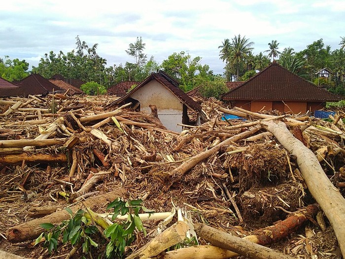 Material banjir bandang yang didominasi potongan pohon hutan berukuran besar di rumah warga, Lingkungan Biluk Poh Kangin, Kelurahan Tegal Cangkring, Jembrana, Bali Rabu (19/10/2022).
