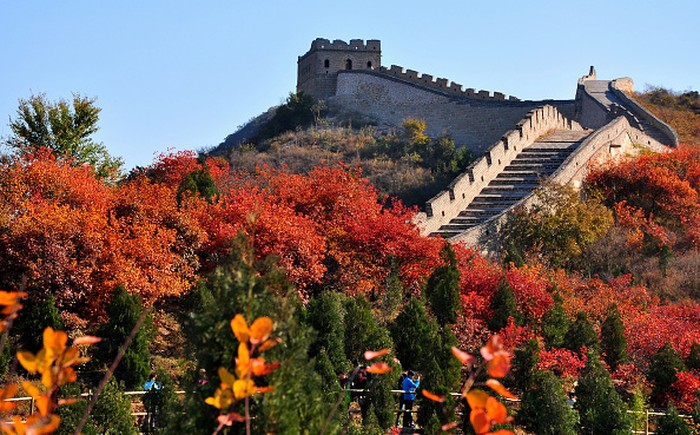 BEIJING, CHINA - OCTOBER 19:  (CHINA OUT) Tourists enjoy autumn views at the Badaling Great Wall on October 19, 2013 in Beijing, China. The red leaves of maple trees are the most charming autumn scenery in Beijing.  (Photo by Visual China Group via Getty Images/Visual China Group via Getty Images)