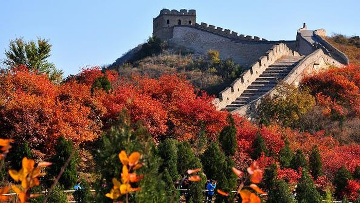Nuansa Musim Gugur di Tembok Besar China BEIJING, CHINA - OCTOBER 19: (CHINA OUT) Tourists enjoy autumn views at the Badaling Great Wall on October 19, 2013 in Beijing, China. The red leaves of maple trees are the most charming autumn scenery in Beijing. (Photo by Visual China Group via Getty Images/Visual China Group via Getty Images)