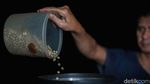Pecinta Kopi, Yuk Intip Proses Penyangraian Biji Kopi