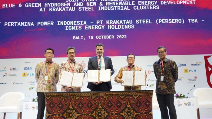 Pertamina garap pengembangan hidrogen bareng perusahaan Spanyol/Dok Pertamina