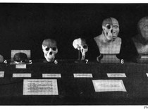 Upaya Mengungkap Asal Usul Spesies Manusia Pertama