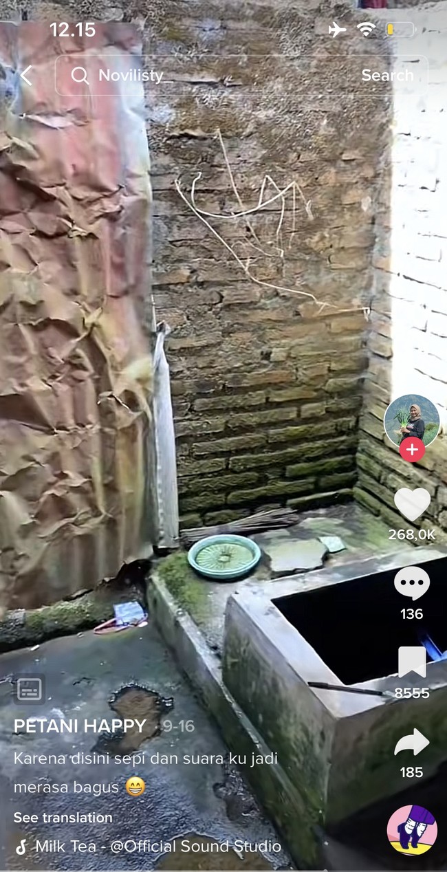 Kalau yang satu ini penampakan toilet di luar yang letaknya terpisah dari rumah. Novi biasanya menggunakan toilet tersebut untuk merekam suaranya. Rekaman suara tersebut yang kemudian dipakai untuk membuat konten-konten Novi. Foto: TikTok/@novilisty_