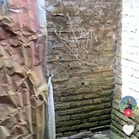 Kalau yang satu ini penampakan toilet di luar yang letaknya terpisah dari rumah. Novi biasanya menggunakan toilet tersebut untuk merekam suaranya. Rekaman suara tersebut yang kemudian dipakai untuk membuat konten-konten Novi. Foto: TikTok/@novilisty_