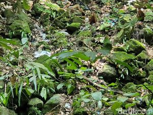 Sampah di Gunung Tangkil Sukabumi Kerap Jadi Sasaran Monyet Liar