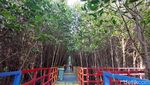 Foto: Hutan Mangrove di Banten yang Instagramable