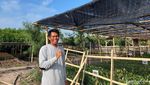 Potret Mang Rov Penggiat Mangrove di Pesisir Utara Banten